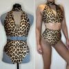 CUSTOMISABLE V Neck Mesh Panel Two Piece Costume